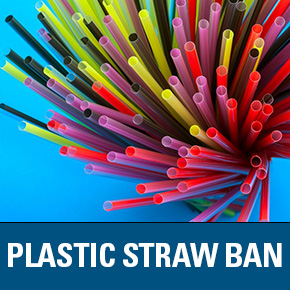 Plastic Straw Ban link - multicolored straws in a spiral twist with a aqua blue background